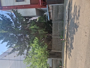 casa 3 camere si anexa