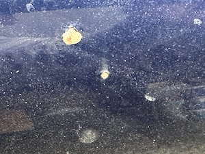 Capota AUDI A4 B5 Avant ,2001 - imagine 4