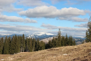 Teren Vatra Dornei - imagine 2