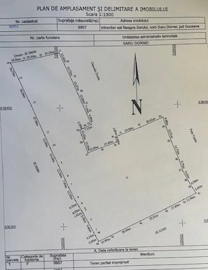 Teren Vatra Dornei - imagine 4