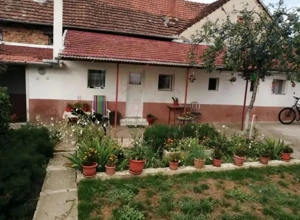 PROPRIETATE CU 2 CASE ȘI CURTE\VALEA TIMIȘULUI\JUD.CS - imagine 12