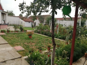 PROPRIETATE CU 2 CASE ȘI CURTE\VALEA TIMIȘULUI\JUD.CS - imagine 4