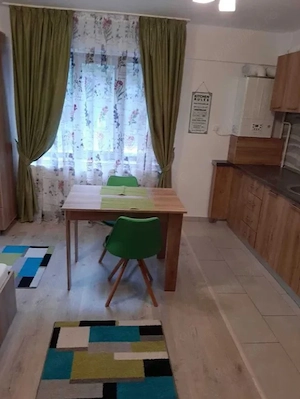 Apartament cu 1 camera in Nicolina-Lidl,bloc nou - imagine 4