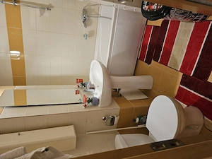 Apartament 2 decomandate particular Rovine I-uri - imagine 6