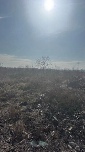 Maritimo Mall-teren intravilan 1700 mp d 18m