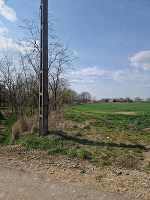 Proprietate cu casă, curte și 0,51 ha teren intravilan arabil (6,234 mp)  Teghea, jud. Satu Mare - imagine 9