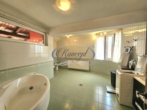 Proprietate eleganta cu gradina generoasa si acces facil Europa - imagine 19