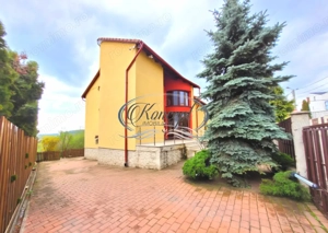 Proprietate eleganta cu gradina generoasa si acces facil Europa - imagine 4