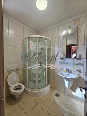 Proprietate eleganta cu gradina generoasa si acces facil Europa - imagine 18