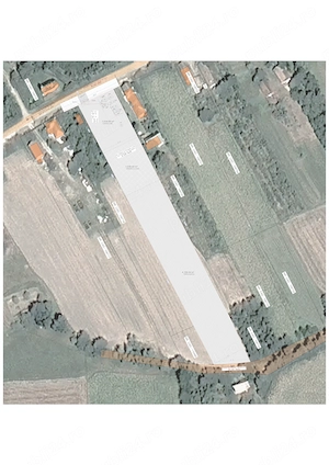 Proprietate cu casă, curte și 0,51 ha teren intravilan arabil (6,234 mp)  Teghea, jud. Satu Mare - imagine 10