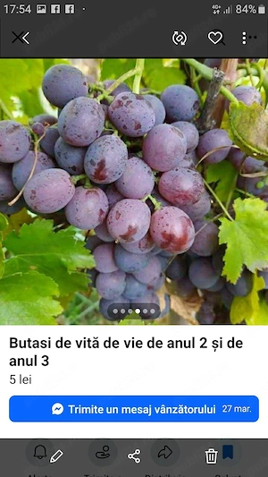 caut de munca vu zoua la vie an zona dragasani 