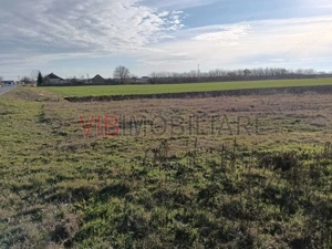 Teren intravilan investitie, urbanism rezidential si dotari, Bucovat - imagine 4