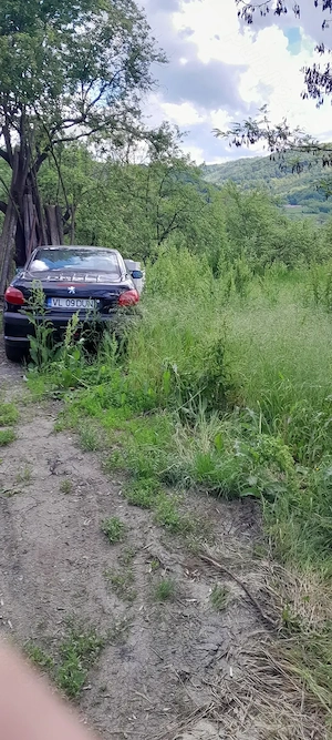 Peugeot 206 cc - imagine 2