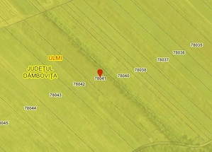 Teren extravilan în satul ULMI - imagine 3