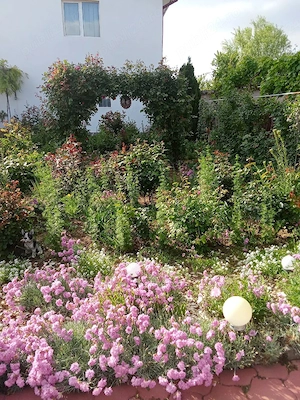 casă parter+etaj 360 mii euro - imagine 2