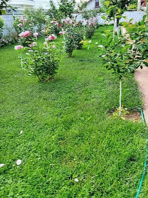 casă parter+etaj 360 mii euro - imagine 10