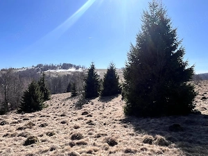 Teren  de vanzare - imagine 2