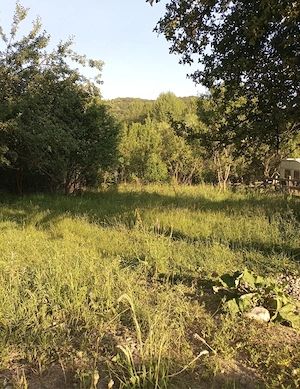 Teren intravila 964mp Gurguiata , Valcea  - imagine 4