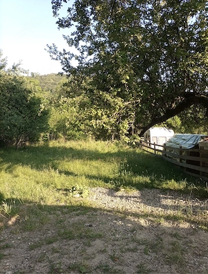 Teren intravila 964mp Gurguiata , Valcea  - imagine 5