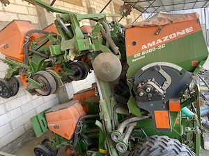 Semănătoare Amazone  - imagine 2