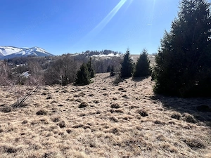 Teren  de vanzare - imagine 4