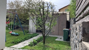 Casa cu Teren zona liceu Dumitru Tautan - imagine 8