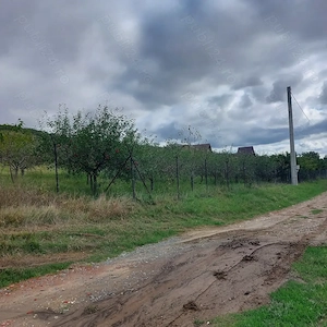 Teren de vanzare in Vaslui - imagine 3
