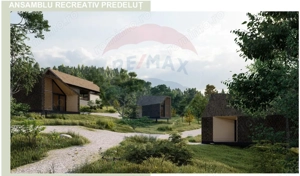 10.51 Euro + TVA / mp: Teren Bran Predelut, 24.253 mp, intravilan - imagine 9
