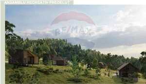 10.51 Euro + TVA / mp: Teren Bran Predelut, 24.253 mp, intravilan - imagine 7