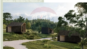 10.51 Euro + TVA / mp: Teren Bran Predelut, 24.253 mp, intravilan