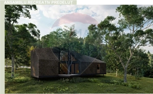 10.51 Euro + TVA / mp: Teren Bran Predelut, 24.253 mp, intravilan - imagine 11