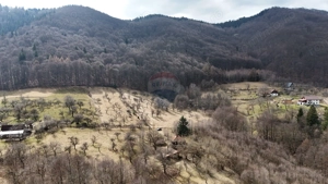 10.51 Euro + TVA / mp: Teren Bran Predelut, 24.253 mp, intravilan - imagine 5