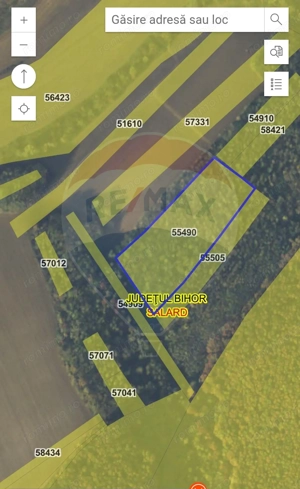 Teren forestier 15,618 mp Santimreu / com. Salard - imagine 5