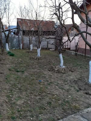Casă și teren de vânzare  - imagine 2