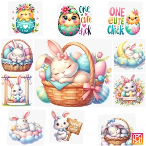  Ofertă specială de Paște! 