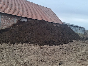 Vând gunoi de grajd.