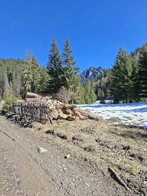 Inchiriez cabana Ceahlau - imagine 4