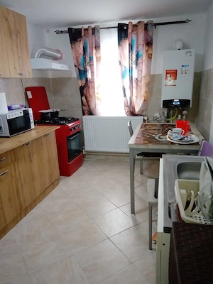 Vand Casa 4 Camere in Sat Maluri Vulturu Vrancea, balta Leica  - imagine 8