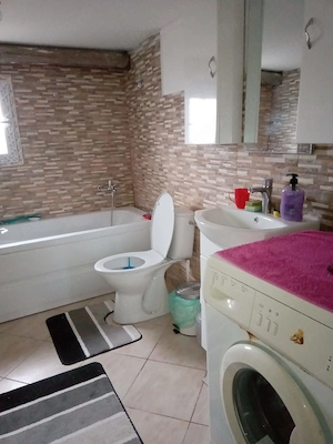 Vand Casa 4 Camere in Sat Maluri Vulturu Vrancea, balta Leica  - imagine 9