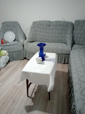 Vand Casa 4 Camere in Sat Maluri Vulturu Vrancea, balta Leica  - imagine 10