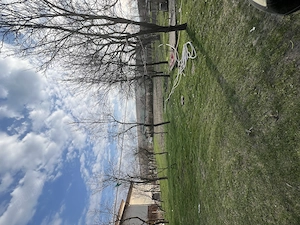 Casă de vânzare Rascruci - imagine 4