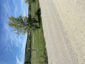 Ofertă teren intravilan in Petresti 