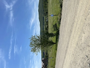 Ofertă teren intravilan in Petresti  - imagine 2