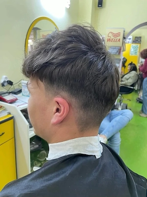 frizer la domiciliu 