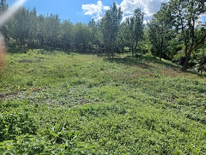 Teren intravilan cu livadă, 2850 mp, acces auto   Lijerdiu (Cluj) - imagine 2