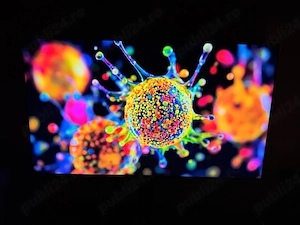 Samsung Neo QLED Ultra HD 4K Smart 55QN85D