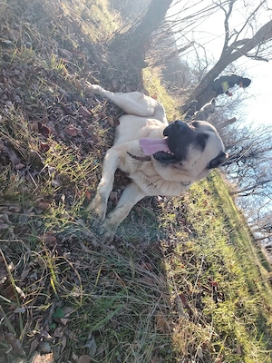 Asia centrala  - imagine 2