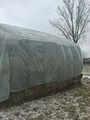 Baloți de vânzare(fân), mai multe detalii la telefon: 