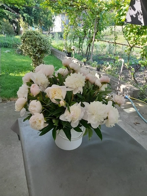 Cultivator de flori - imagine 3