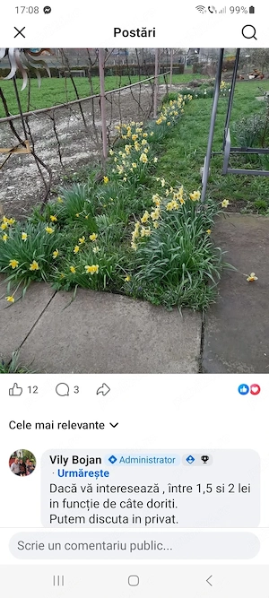 Cultivator de flori - imagine 2